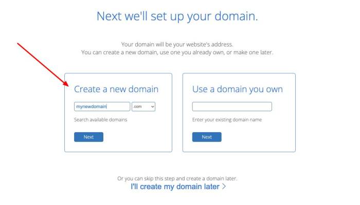 How to Get a Free Domain Name 2024